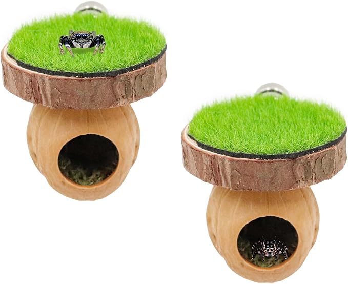 2 Pack Jumping Spider Enclosure Accessories, Magnetic Walnut Hide with Wooden Platform, Plastic Grass Topper, Spider Hideout with Moss for Terrariums