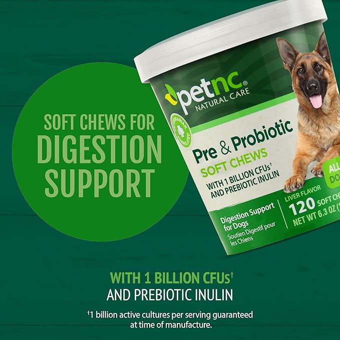 PetNC Natural Care Liver Flavor,Cheese Pre & Probiotic Soft Chews for Dog 120 ct (Pack of 1) (Packaging May Vary)