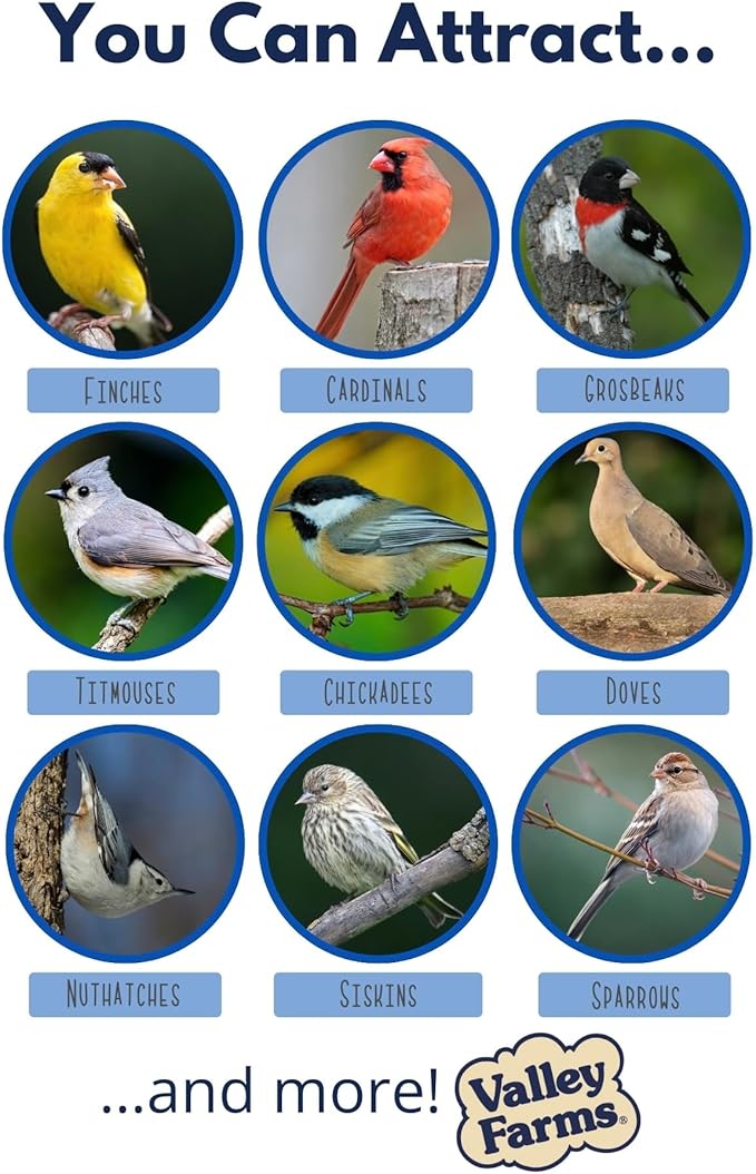 Valley Farms Hi-Flite Wild Bird Food - Best Seed Value for All Species of Birds for Outside Bird Feeders (5 Pound (Pack of 2))