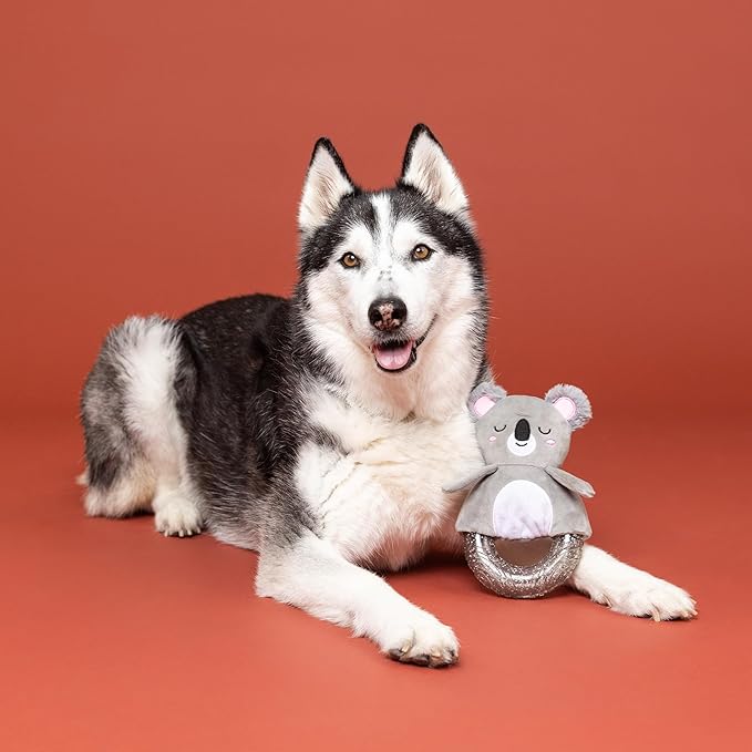 Fringe Studio Rubber Dog Toy, KOAL-ITY Vibes ONLY!, Pet Shop Collection (519082)