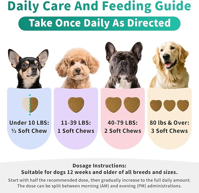 Dog Hip and Joint Supplement, 15-in-1 Advanced Glucosamine for Dogs with Chondroitin, MSM, New Zealand GLM, Pea, Omega 3 - Beef Flavor - 90 Soft Chews, Fits All Breeds and Sizes