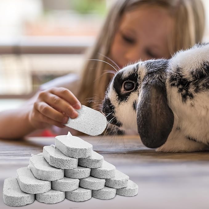 PINVNBY 15 PCS Hamster Lava Blocks, Lava Bites Chew Toys, Mineral Calcium Stone Teeth Grinding Toys for Small Animal Rabbits Guinea Pig Rats Bunny Hamsters Chinchilla