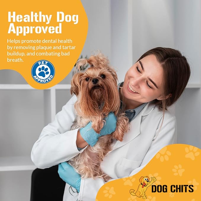 Dog Chits Braided Bully Sticks for Dogs and Puppies | 12-inch, 3 Pack | Natural Healthy Long Lasting Chew for Large and Small Dogs Protein Treats | Odor Free
