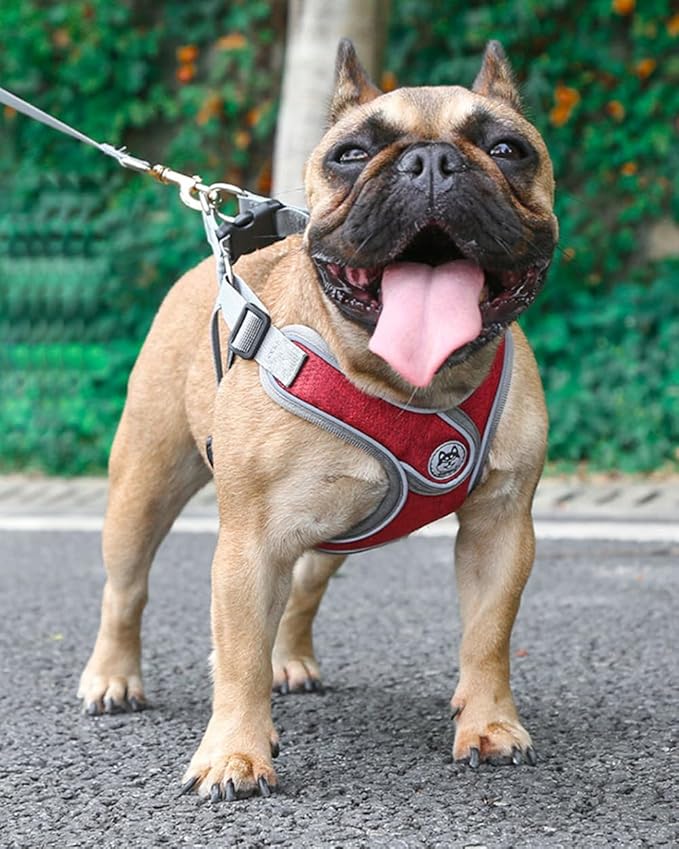 Small Dog Harness and Leash Set,No Pull Adjustable Step in Soft Mesh Vest Harness,Easy Walk Reflective Pet Harness with Padded Handle for Walking Training Small Medium Large Dogs and Cats (Red, S)