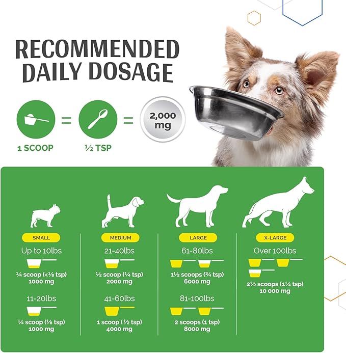 MSM Joint Boost Powder - Hip & Joint Dog Supplement for Joint Mobility & Flexibility - Natural Anti-Inflammatory with Sulfur - Chicken Flavored