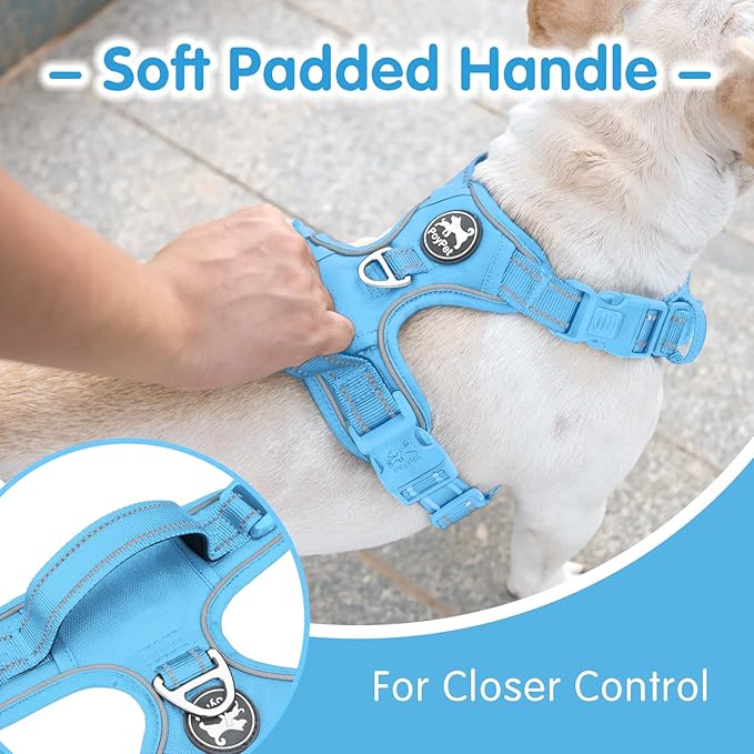 PoyPet No Pull Dog Harness and 5 Feet Leash Set, Release on Neck Reflective Adjustable Pet Vest, Front & Back 2 D-Ring and Soft Padded Pet Harness with Handle for Small to Large Dogs(Light Blue,XL)