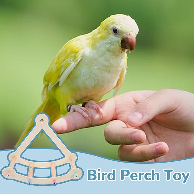 Bird Perch Toy, Interactive Rocking Parakeet Toys and Perches, Intelligence Puzzle Birds Enrichment Toy for Parrot, Bird Cage Accessories Perch for Budgies(Pirate Ship)