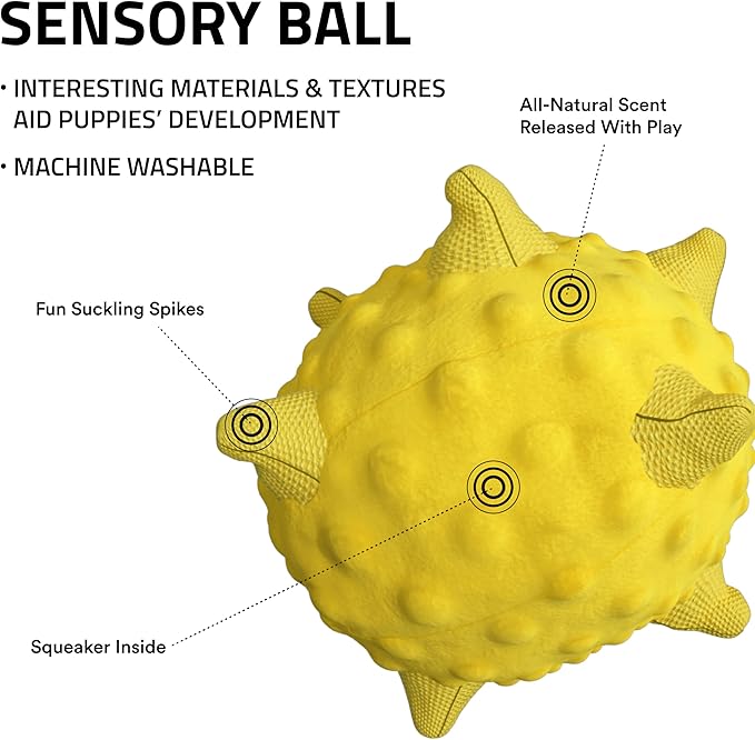 Playology Dog Toys | Puppy Toy Plush Sensory Ball for Dogs and Puppies for Dogs and Puppies | Jumbo Chicken Scented Toy - Easy to Clean and Made from Non Toxic Materials