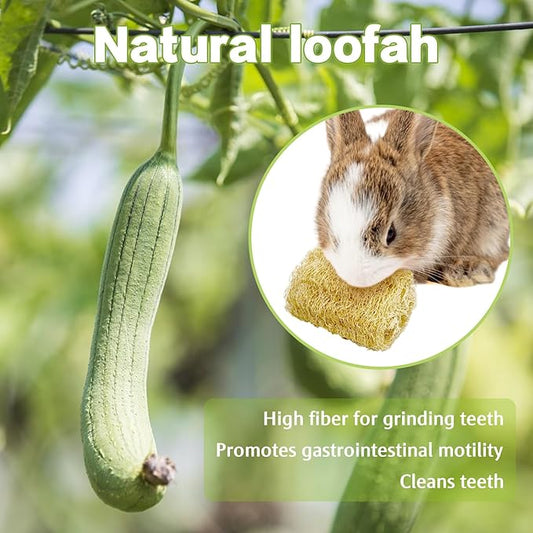 BNOSDM Bunny Chew Toys Natural Loofah 6PCS Bunny Teeth Grinding Toy Rabbit Fiber-Rich Treats Pet Entertainment Accessories for Rabbits Chinchillas Guinea Pig（L）
