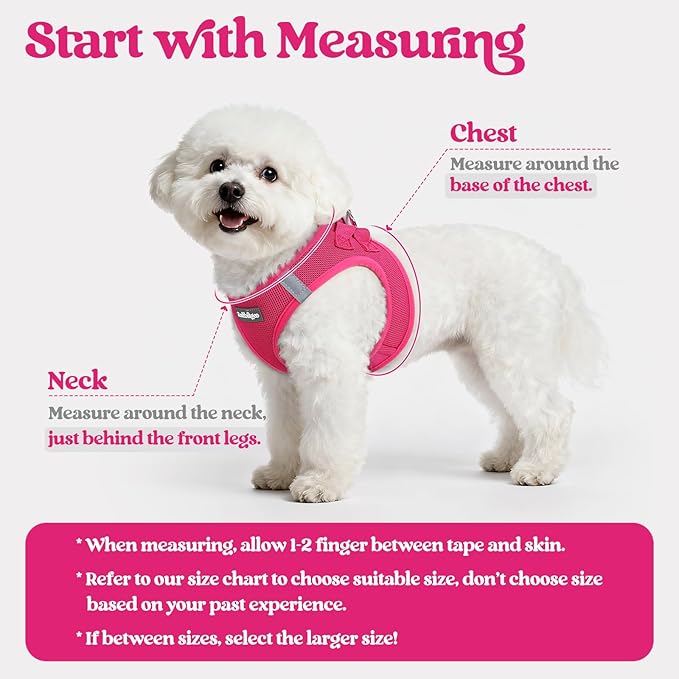 rabbitgoo Dog Harness Small Sized and Leash Set, Step in Soft Light Puppy Vest, Breathable Mesh Pet Harness, Reflective for Safe Easy Walking, Rosa Red XXXS