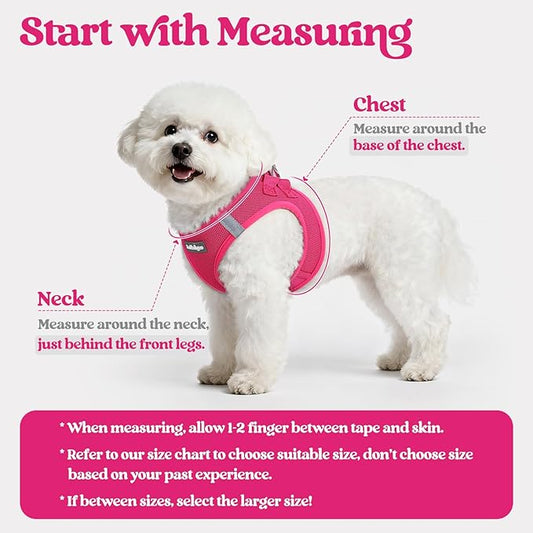 rabbitgoo Dog Harness Small Sized and Leash Set, Step in Soft Light Puppy Vest, Breathable Mesh Pet Harness, Reflective for Safe Easy Walking, Rosa Red XXXS