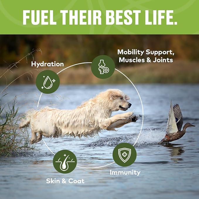 Beef Mobility Support Bone Broth Concentrate for Dogs - Collagen Protein Supplement - Boosted w/Amino Acids, Glucosamine, and Chondroitin - Dog Food Topper - Human Grade (16 oz, 30 Servings)