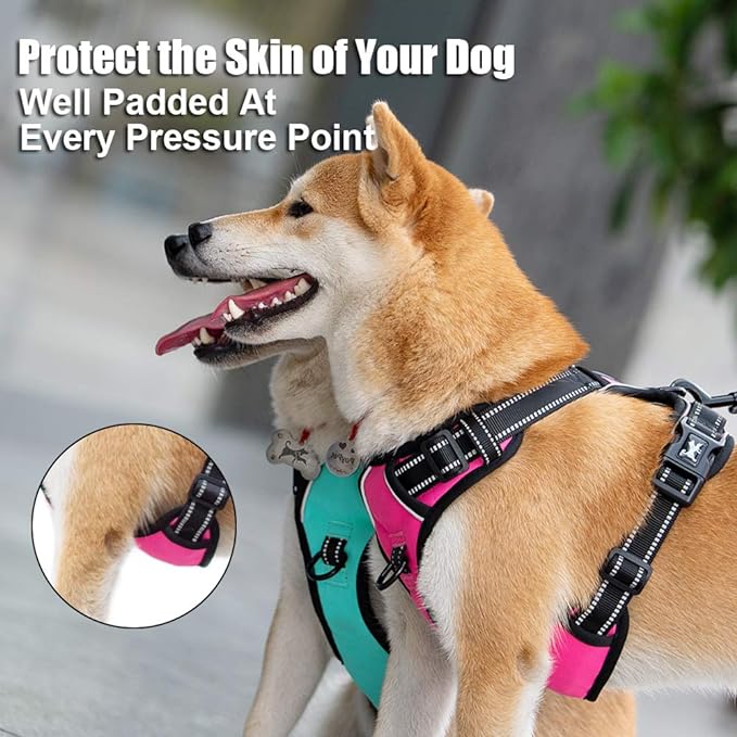 PoyPet No Pull Dog Harness, Reflective Comfortable Vest Harness with Front & Back 2 Leash Attachments and Easy Control Handle Adjustable Soft Padded Pet Vest for Small Medium Large Dogs (Mint Blue,M)