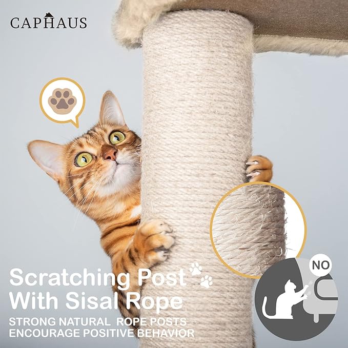 CAPHAUS Cat Tower for Indoor Cats, Modern Cute 37-Inch Small Cat Tree with Widened Perch for Large Cats Kittens, Multi-Level Cat Activity Tree with Scratching Posts and Ramp, 2-Door Cat Cave Condo