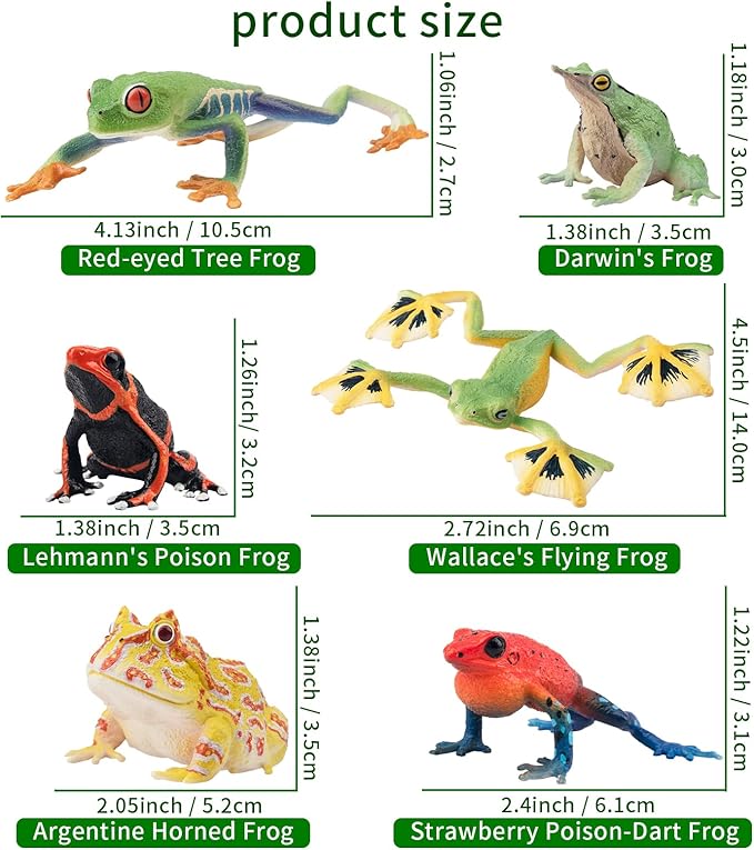 Toymany Frog Toy Figures, Plastic Rainforest Woodland Animals Toy Frogs Set with Realistic Poison Dart Frog, Cake Topper Party Favor Garden Flowerpot Plants Decor