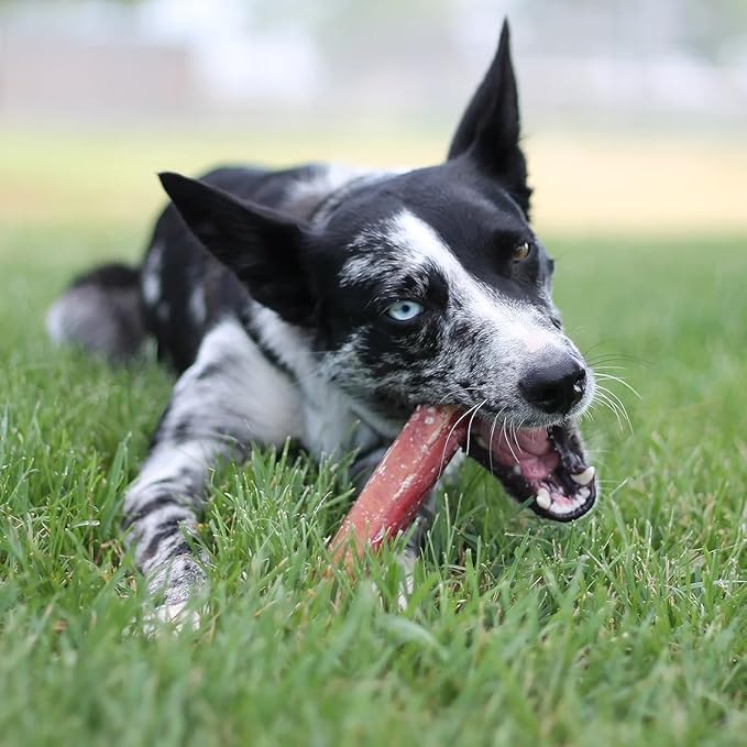 Tuesday's 6" Jumbo Bully Sticks (5 pack)