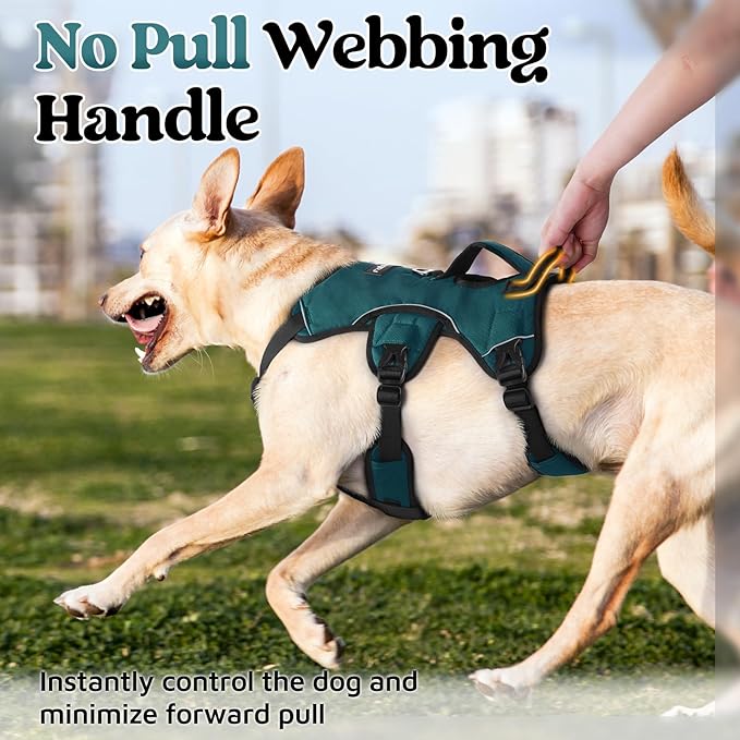 rabbitgoo Escape Proof Dog Harness, Soft Padded Full Body Pet Harness, Reflective Adjustable No Pull Vest with Lift Handle and Leash Clip for Large Dogs Walking Hiking Training, Dark Green, XL
