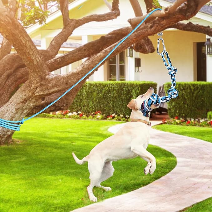 LOOBANI Spring Pole Toy for Pitbull: Tether Tug of War Toys for Small Large Aggressive Chewers Dogs to Exercise & Muscle Building & Bite Training,Outdoor Heavy Duty Bungee Solo Tree Tugger Hanging Toy