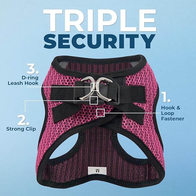 Voyager Step-in Air All Weather Mesh Harness and Reflective Dog 5 ft Leash Combo with Neoprene Handle, for Small, Medium and Large Breed Puppies by Best Pet Supplies - Fuchsia (2-Tone), XS
