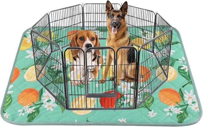 BVAGSS Washable Pee Pads for Dogs, 1 Pack Reusable Leakproof Puppy Wee Wee Pad, Non-Slip Waterproof Pet Training Pads, Super Absorbent Whelping Pads XH081 (Green Lemon, 71X71 Inch (Pack of 1))