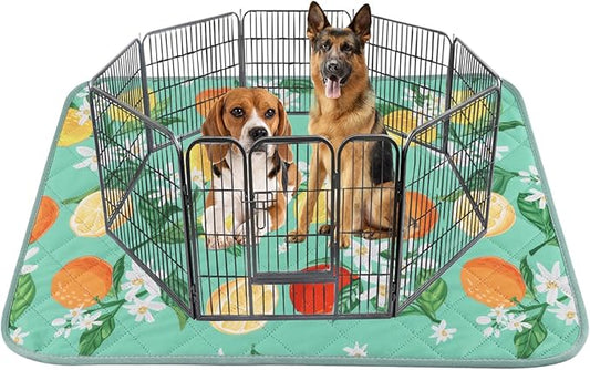 BVAGSS Washable Pee Pads for Dogs, 1 Pack Reusable Leakproof Puppy Wee Wee Pad, Non-Slip Waterproof Pet Training Pads, Super Absorbent Whelping Pads XH081 (Green Lemon, 71X71 Inch (Pack of 1))