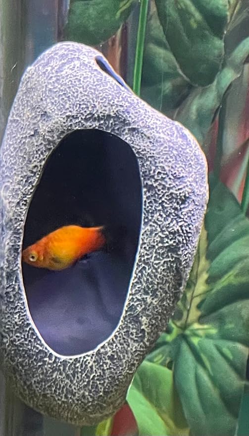Aquarium Decor Magnetic Rock Cave Ornament – Wall-Mounted Fish Tank Accessory