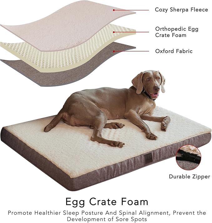 DaysU Dog Bed for Medium Dogs, Orthopedic Dog Beds with Removable Washable Cover, Medium Egg Crate Foam Pet Bed Mat, Brown, Suitable for Dogs Up to 35 Ibs, 35x22x3in