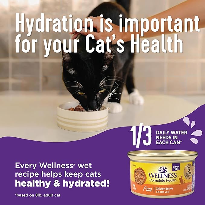 Wellness Complete Health Pate Adult Wet Cat Food, Natural, Protein-Rich, Grain Free, 12.5 Ounce, 12 Pack, (Chicken & Lobster)