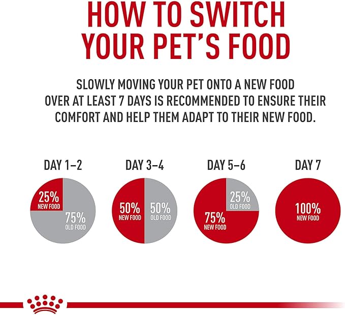 Royal Canin Feline Care Nutrition Digestive Care Adult Thin Slices in Gravy Cat Food, 3 oz (Pack of 24)