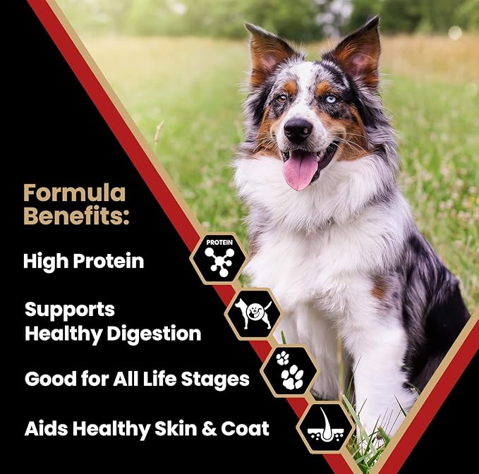 VICTOR Super Premium Dog Food – Purpose Nutra Pro – Gluten-Free, High Protein Low Carb Dry Kibble for Active Dogs of All Ages – Ideal for Sporting, Pregnant or Nursing Dogs & Puppies, 15lbs