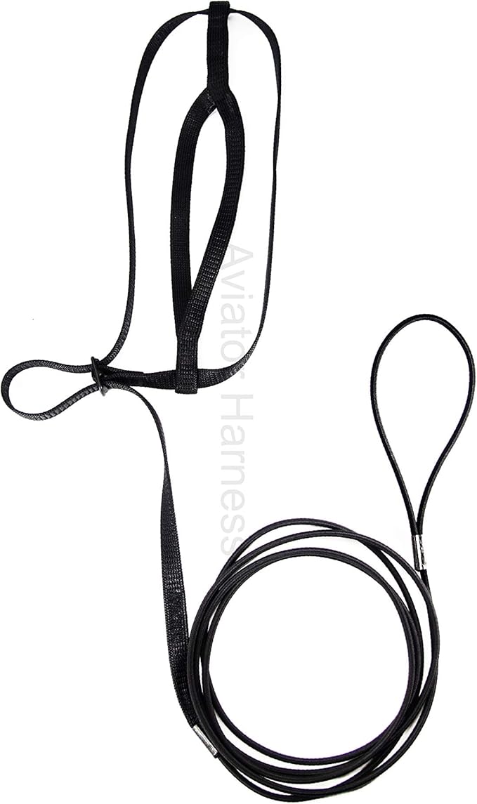 The AVIATOR Pet Bird Harness and Leash: Large Black