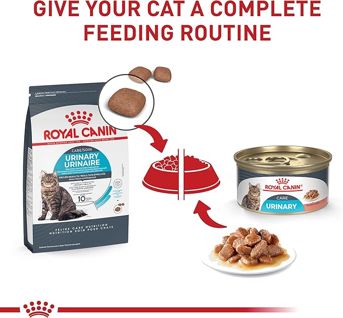 Royal Canin Feline Care Nutrition Urinary Care Adult Dry Cat Food, 14 lb Bag