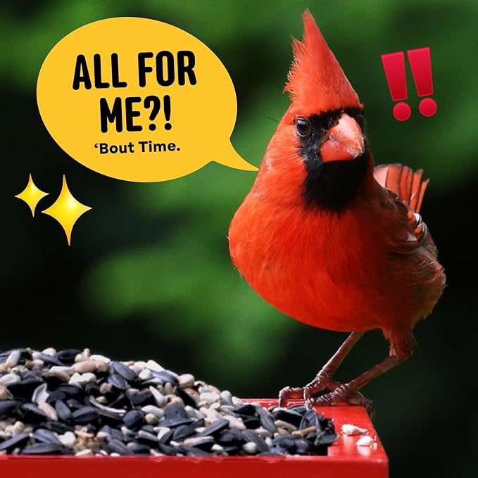 Cardinal & Crew Wild Bird Seed – 10 lb. Black Oil Sunflower, Sunflower Hearts & Safflower Blend for Cardinals, Grosbeaks & Chickadees – Bird Food for Outside Feeders