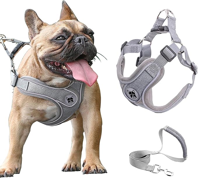 Puppy Harness and Leash Set,No Pull Adjustable Step in Soft Mesh Vest Harness,Easy Walk Reflective Pet Harness with Padded Handle for Walking Training Small Medium Large Dogs and Cats (Grey, XS)