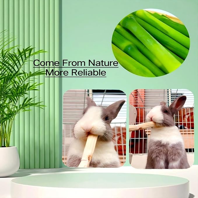 William Craft 1.1 pounds Snacks Sweet Bamboo Chew Toy for Rabbits Chew Sticks for Hamster Chinchilla Guinea Pig,Molar Treats Snack for Small Animals 500g
