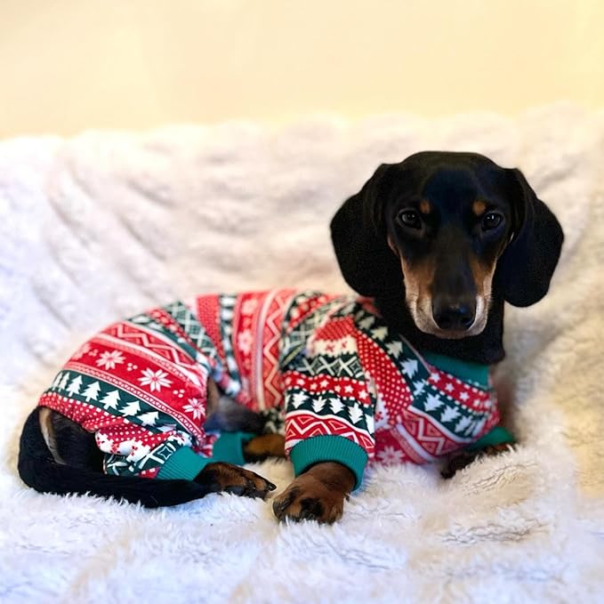 Fitwarm Dog Christmas Outfit, Holiday Pet Clothes for Small Dogs Boy Girl, Festive Pajamas with Feet, Puppy Onesie, Red, Green, XL