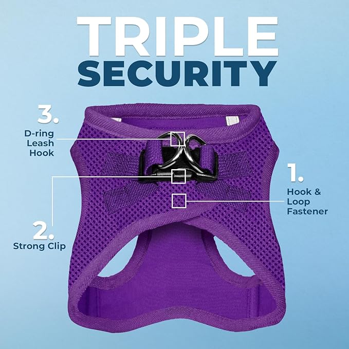 Voyager Step-in Air All Weather Mesh Harness and Reflective Dog 5 ft Leash Combo with Neoprene Handle, for Small, Medium and Large Breed Puppies by Best Pet Supplies - Set (Purple), M