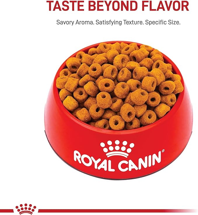 Royal Canin Breed Health Nutrition Labrador Retriever 5+ Mature Dry Dog Food, 28 lb Bag