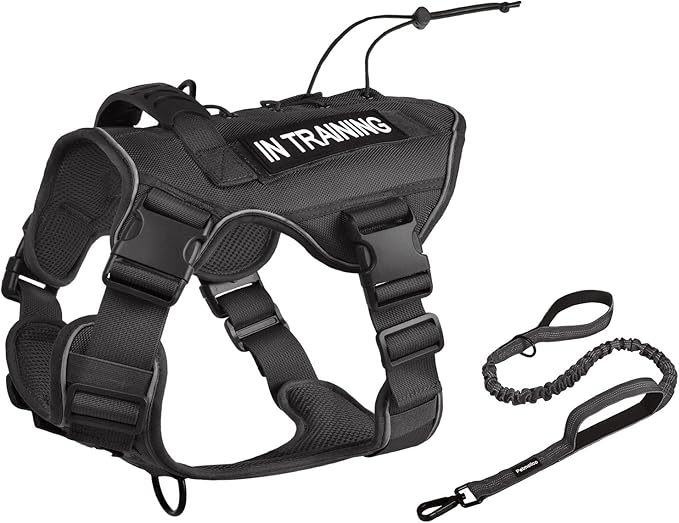 Petmolico Tactical Dog Harness with Leash, No Pull Dog Harness with Hook and Loop Panels for Hiking Training Military Service Dog Harness with Patches for Small Dogs, Black S