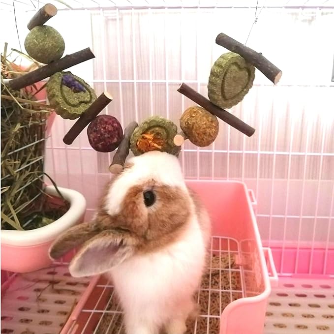 3Pcs Bunny Chew Toys for Teeth Grinding Bunny Hanging Natural Apple Twigs Timothy Hay Grass Cakes Multiple-Grass Ball for Rabbits Guinea Pigs Chinchillas Gerbils Hamsters Improves Dental Health