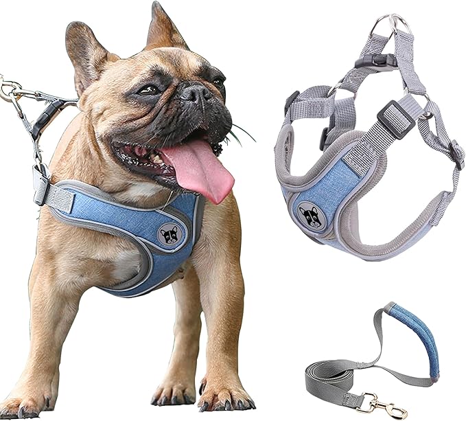 Large Dog Harness and Leash Set,No Pull Adjustable Step in Soft Mesh Vest Harness,Easy Walk Reflective Pet Harness with Padded Handle for Walking Training Small Medium Large Dogs and Cats (Blue, L)