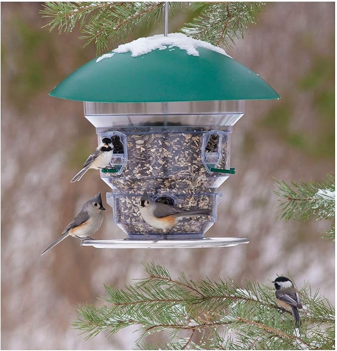 Wild Bill's Non-Electric Feeding Frenzy Bird Feeder