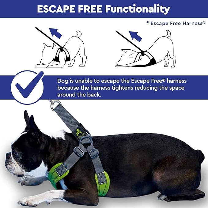 Gooby Sporty Escape Free Harness, Medium - Black, Neoprene, No-Pull, 4-Point Adjustment for Small Dogs up to 35 lbs