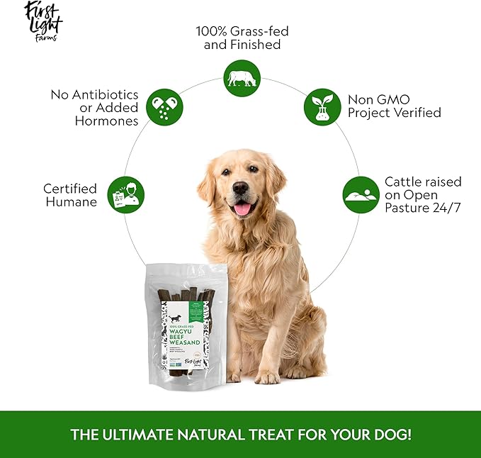 First Light Farms Wagyu Beef Esophagus Dog Treats | Gullet Sticks for Dogs | Esophagus Jerky Treats | All Natural Weasand Chews, 4-5 Count | Healthy Treats for Teeth, Mental Stimulation, Joint Support