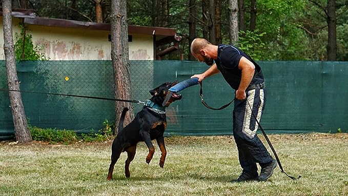 Dingo Gear French Linen tug Toy for Dog, Dog Bumper for Training, Agility, tug of war, Dog bite Pillow for Strong Dog, 2handles 18" Orange S00085