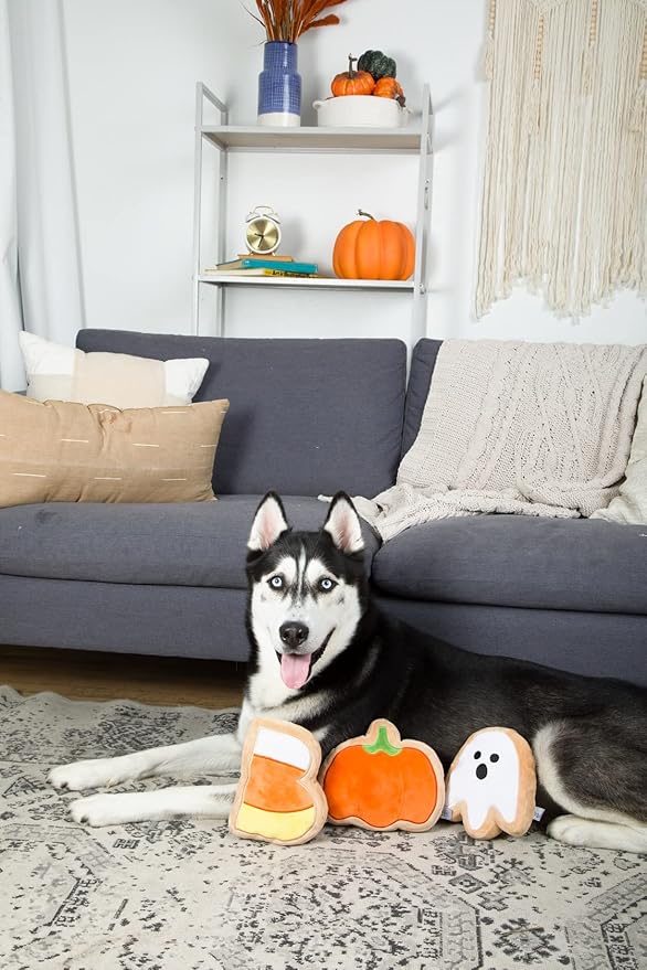 Midlee Boo Sugar Cookie Halloween Plush Dog Toys (Small)
