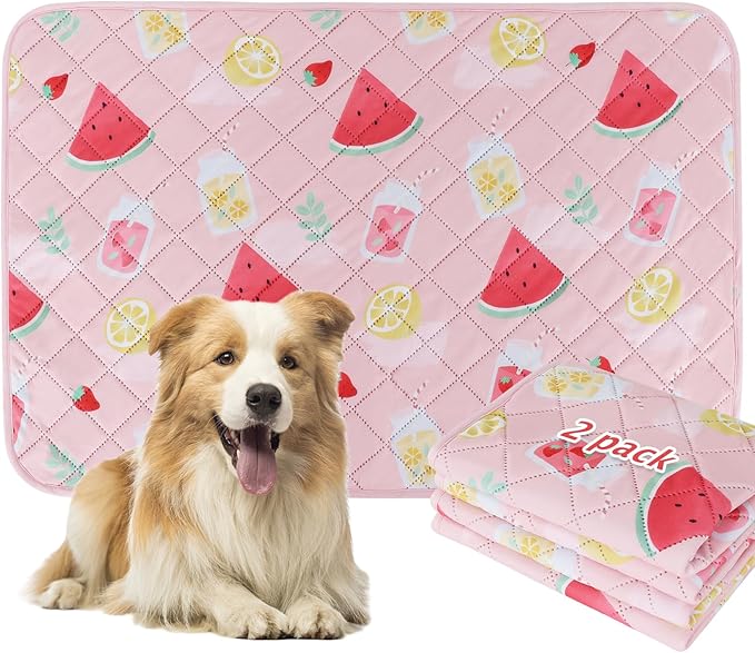 BVAGSS Washable Pee Pads for Dogs, 2 Pack Reusable Leakproof Puppy Wee Wee Pad, Non-Slip Waterproof Pet Training Pads, Super Absorbent Whelping Pads XH081 (Watermelon, 36X41 Inch (Pack of 2))