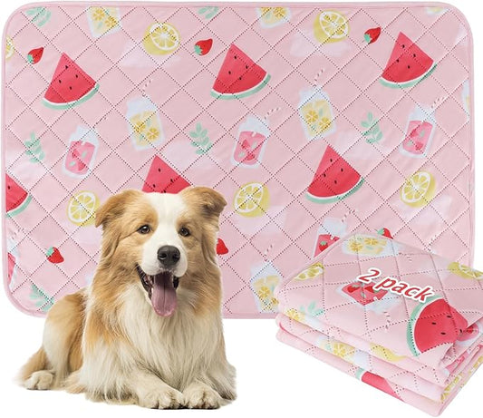 BVAGSS Washable Pee Pads for Dogs, 2 Pack Reusable Leakproof Puppy Wee Wee Pad, Non-Slip Waterproof Pet Training Pads, Super Absorbent Whelping Pads XH081 (Watermelon, 36X41 Inch (Pack of 2))