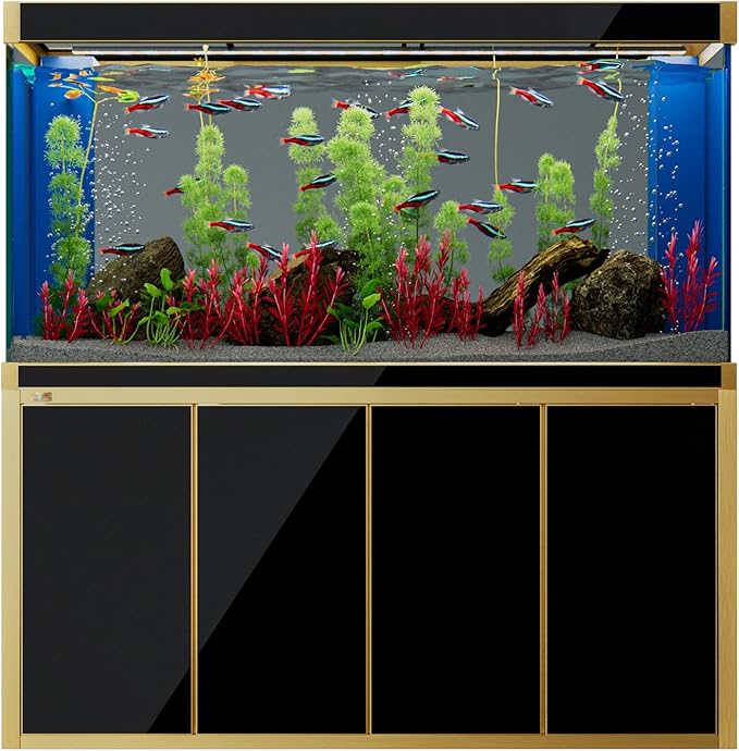 250 Gallon Aquarium Tempered Ultra-Clear Glass with Complete Setup in Black with Gold Trims