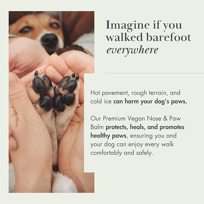 All-Natural Dog Paw & Nose Balm – Vegan Dog Grooming Supplies | Dog Paw Moisturizer & Nose Butter for Dogs | Safe Snout Soother for Dry Nose & Cracked Paws